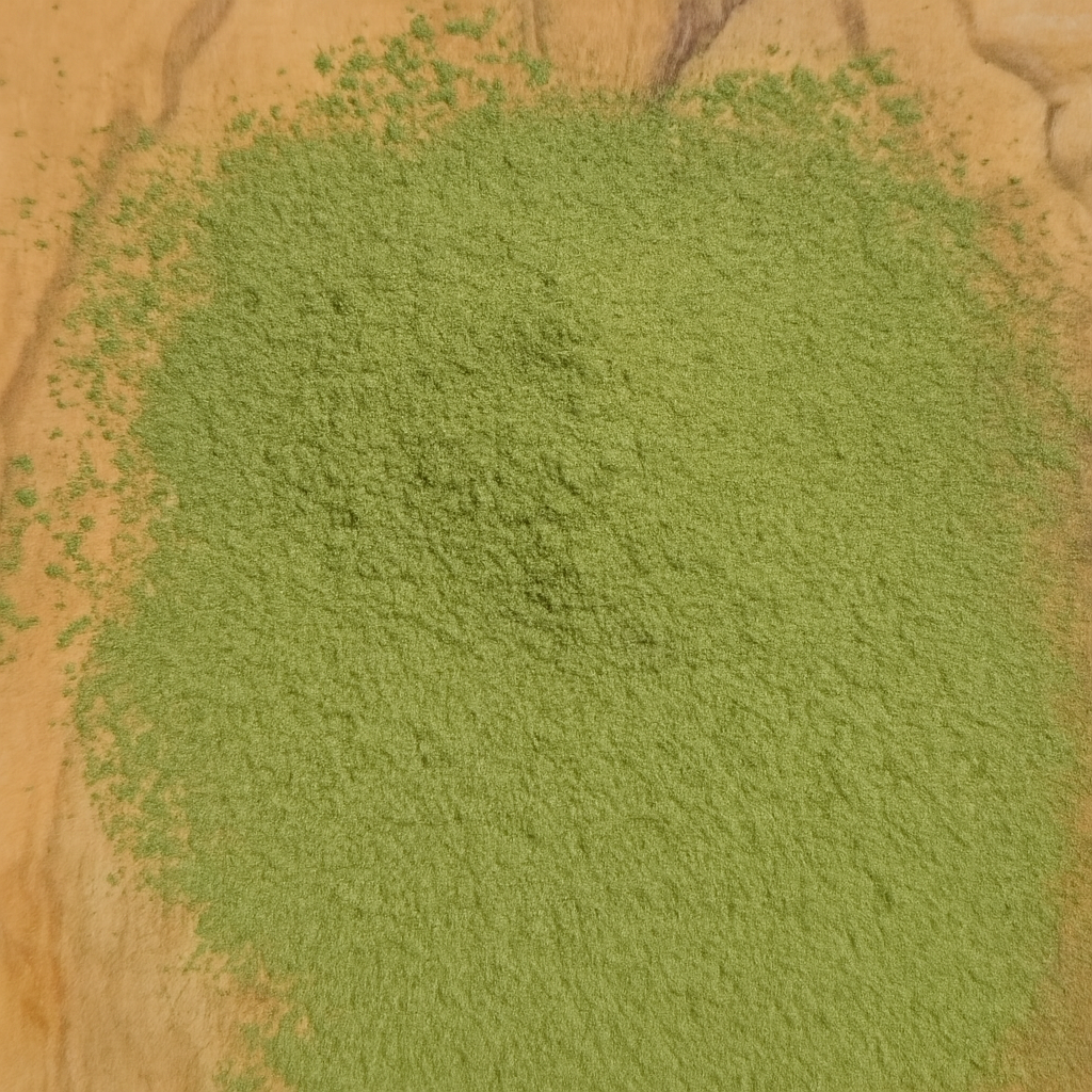 Moringa Rosiinove