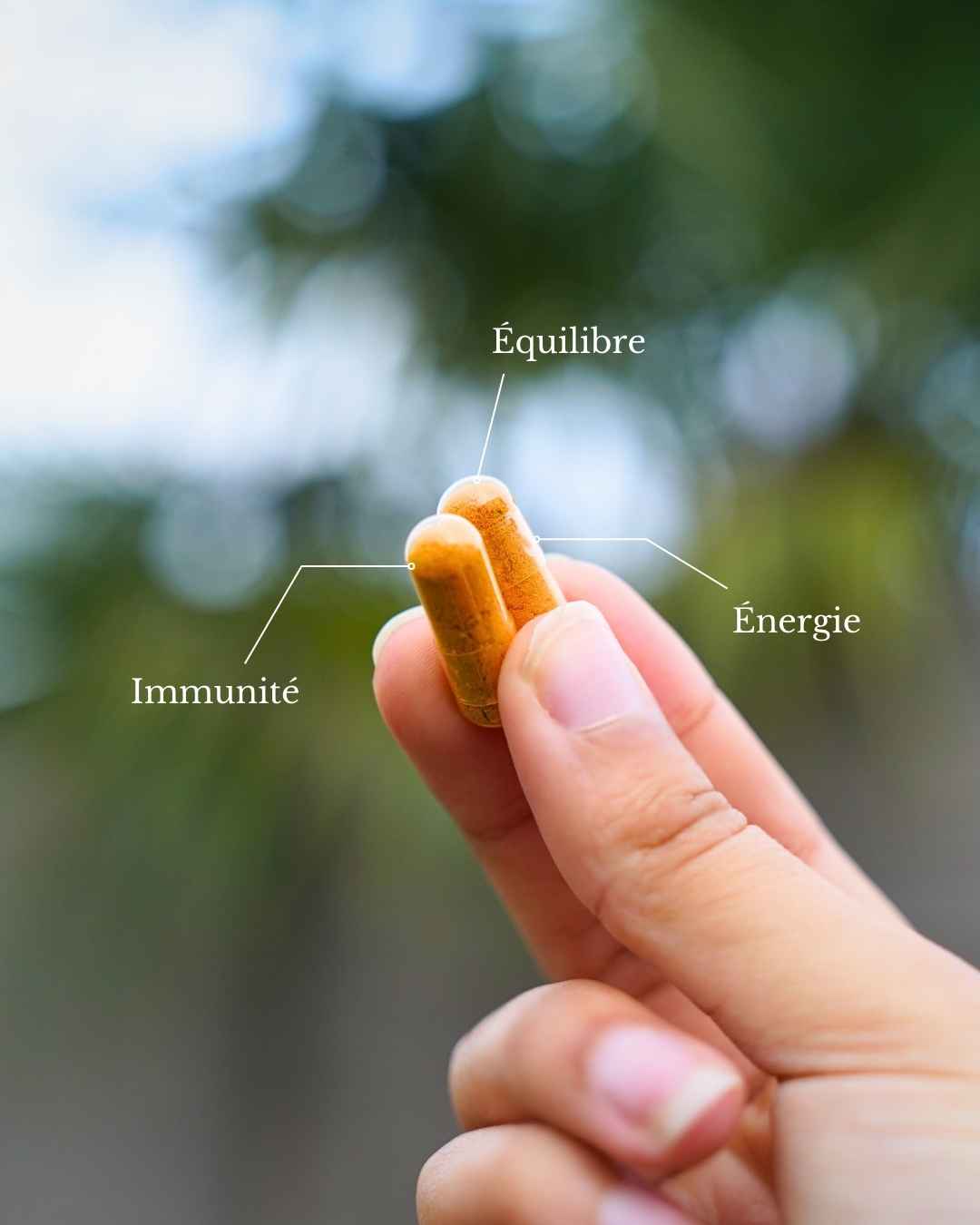 Inflammation Reset - Soulagez vos douleurs naturellement