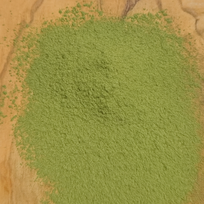 Moringa Rosiinove