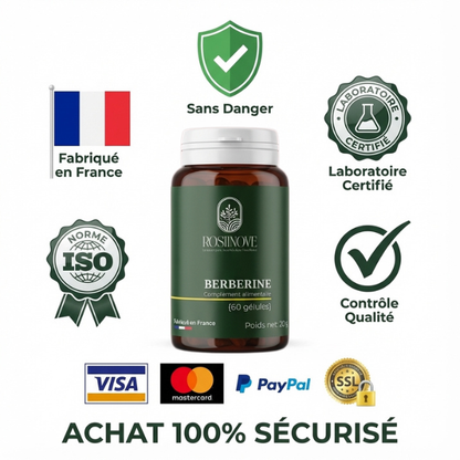 BERBERINE - Gestion de poids-Sucre-SOPK