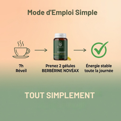 BERBERINE - Gestion de poids-Sucre-SOPK