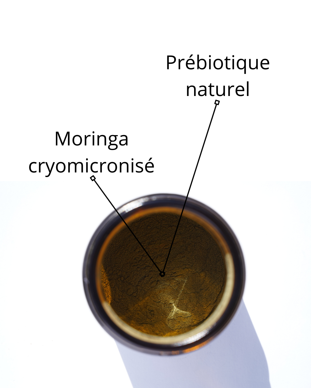 Moringa Rosiinove
